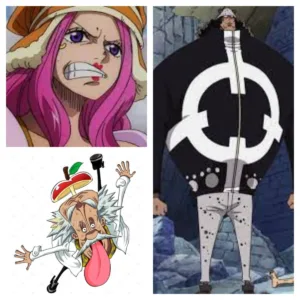 kuma onepiece1102